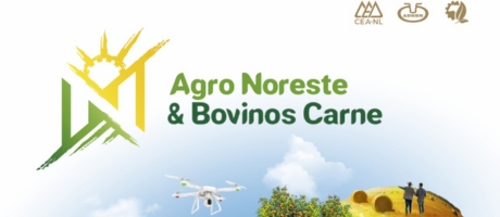 Agro Noreste & Bovinos Carne