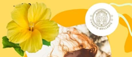 HIBISCO AMARILLO