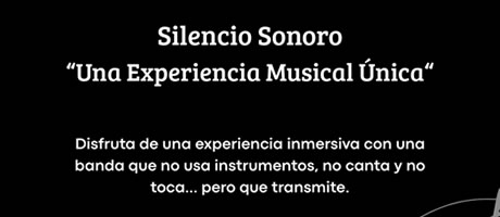 Concierto sin instrumentos