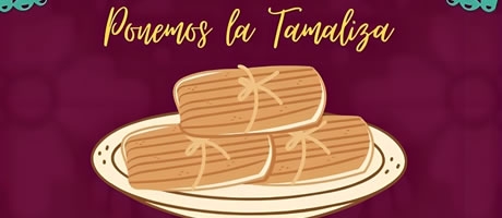 TAMALIZA Y NETWORKING