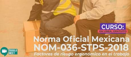 NOM-036-1-STPS-2018, Factores de riesgo ergonómico en el Trabajo