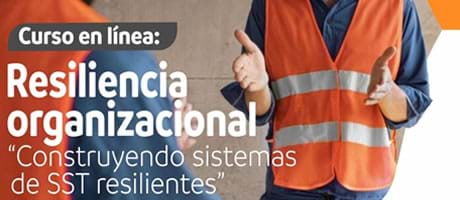 Resiliencia organizacional 