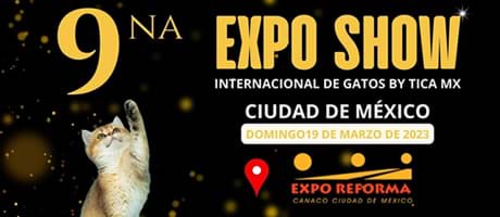8va Expo Show Internacional de Gatos by Tica MX